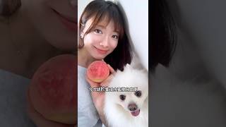 Easy Way to ￼Cut Peach Daily Pet vlog🍑水蜜桃簡易切法教學🐶我和毛毛球的寵物日記 #桃子  #peach #切水果 #美食教程 #vloggerlife