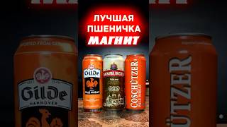 Damburger vs Gilde vs Coschutzer / Лучшее пшеничное / Обзор пива из Магнита / #заминуту #shorts
