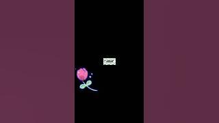 Download lagu Preparing organic liquid Fertilizer at home with me😊🥰✨lezgow!