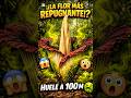“La Flor Más Asquerosa del Planeta 🌍🤢 #florcadaver #shortsvideo #curiosidades #sabiasque #viral