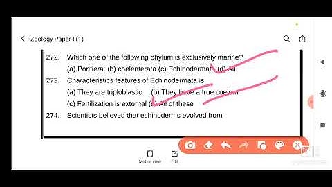 BRABU ZOOLOGY(HONS.)2019-2022 PAPER-1 Q262-Q300 तक की उत्तर