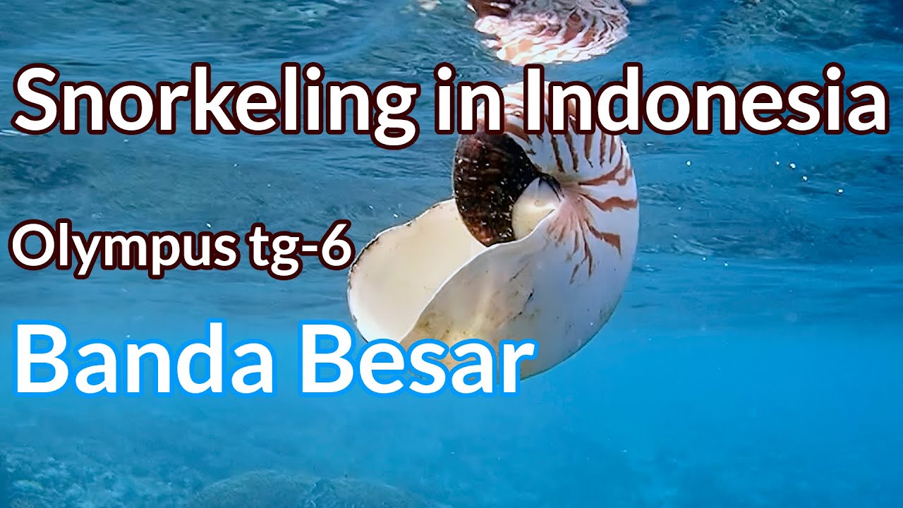 Banda Besar. Snorkeling with Olympus TG-6