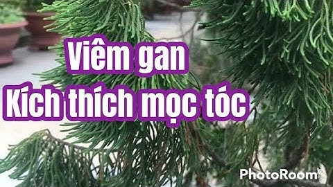 Bí quyết làm đen râu tóc kích thích mọc tóc hiệu quả