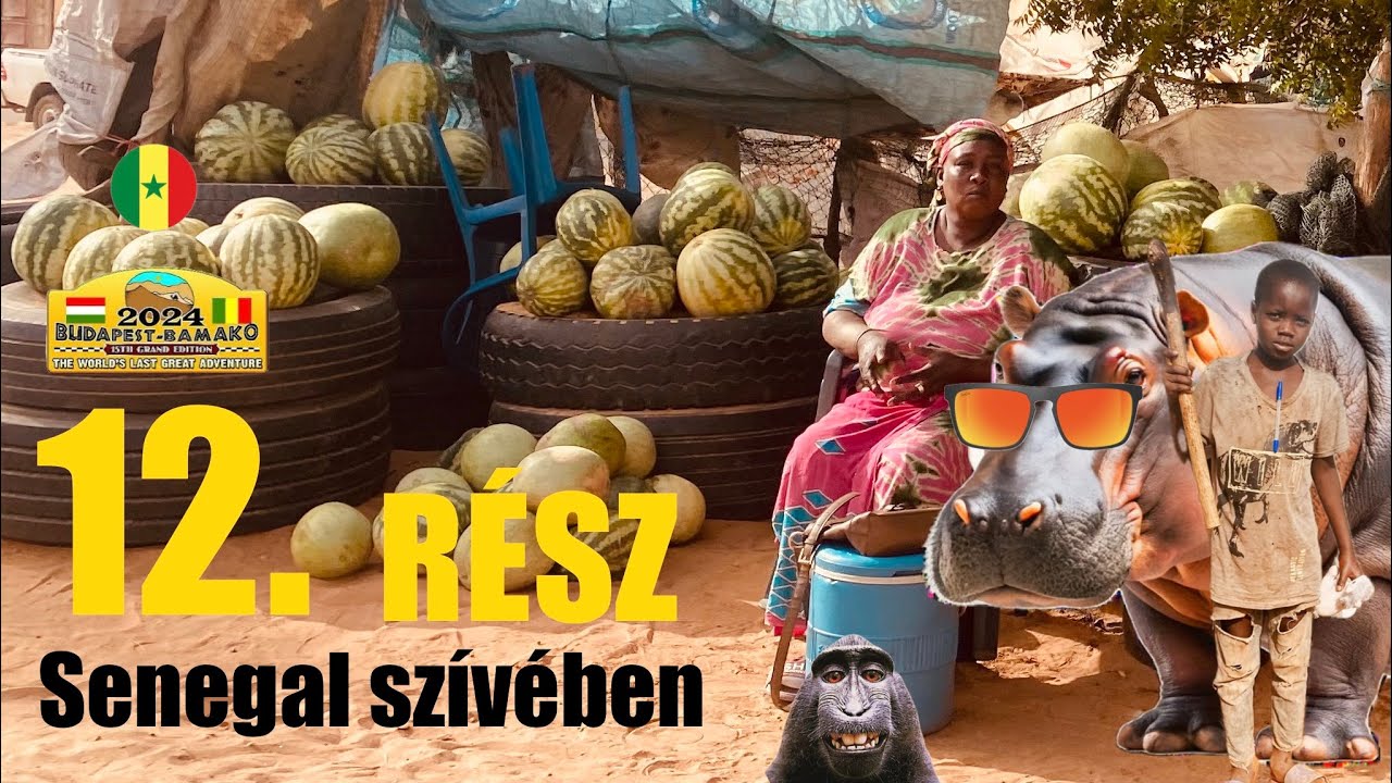 Budapest Bamako Útifilm – African Spirit - 12# Senegal szívében