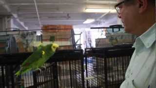 Hunt Slonem's Studio Details