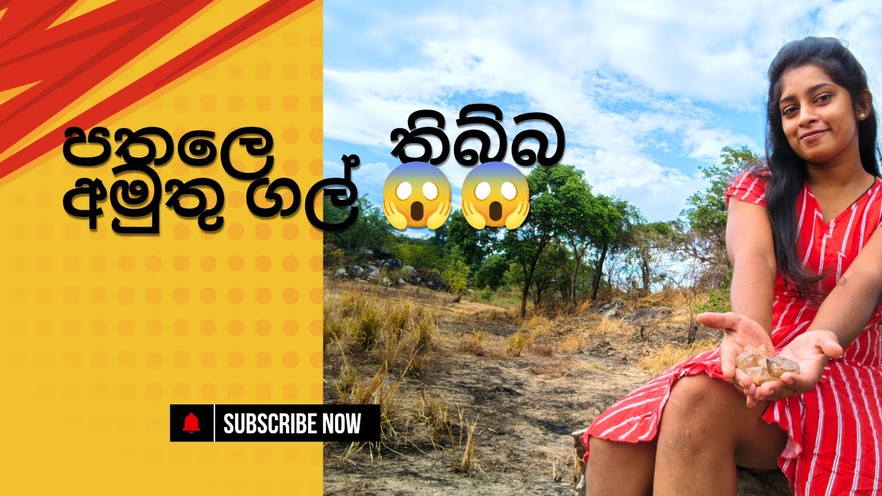 කැලේ මැද්දෙන් පතල් සොයා ගිය අපූරු ගමන 🇱🇰🙀🙀