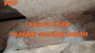 Suara Inap Malam Seribu Bulan