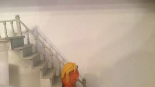 Morph's Guest Blocks the TV (Golden Morph 2016 Entry - Under 16)