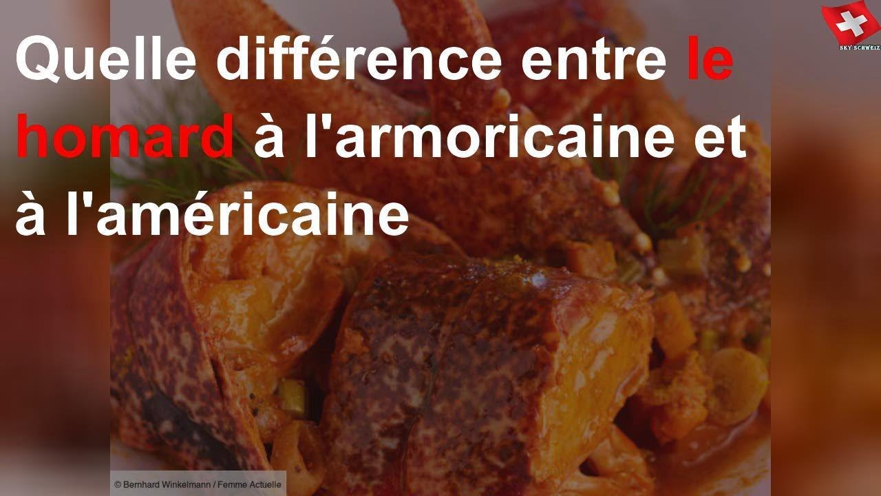 Quelle Difference Entre Le Homard A L Armoricaine Et A L Americaine Youtube