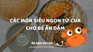 Các Món Ăn Từ Cua Biển Cho Bé Ăn Ngon Miệng Hơn