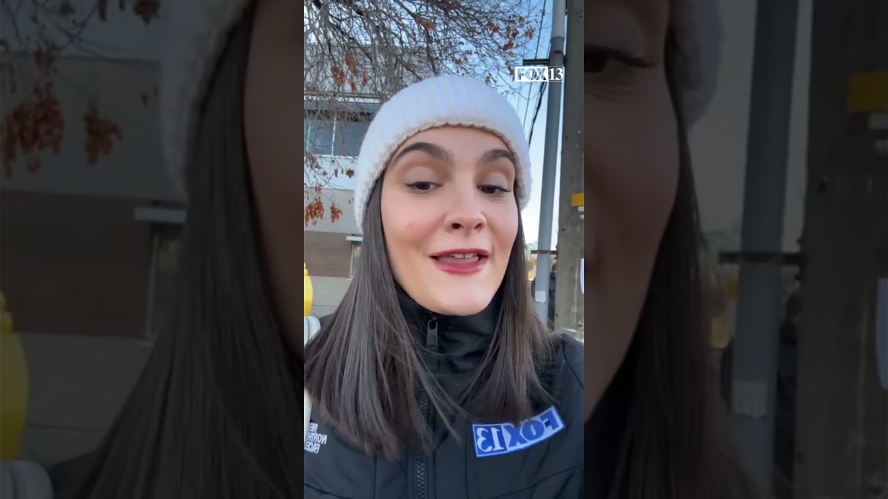 Сотни людей собрались в центре Солт-Лейк-Сити на акцию протеста против ICE (Иммиграционной и тамо...