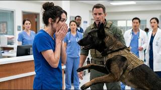 Details Overlooked NURSE Hid a MILITARY Secret — Until VETERANS Returned With a K9 Guide