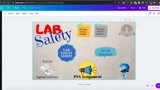 Embedding a Canva.com graphic into Canvas LMS