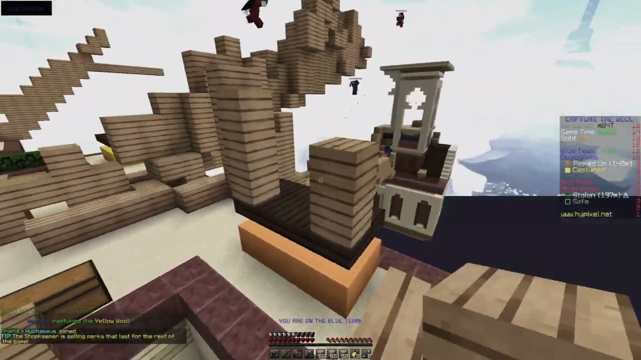 Capture The wool montage