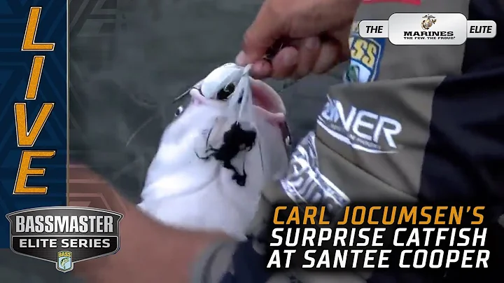 Carl catches a big catfish at Santee Cooper