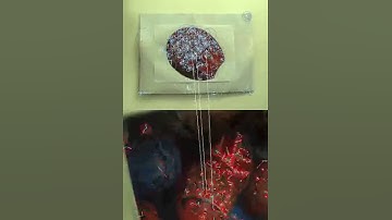 SURF - Identification/Tracking.avi