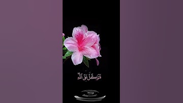 صباح الخير🌺 حالات واتس اب مقاطع قصيره🌺قران كريم سورة النمل إن ربك يقضي بينهم🌺هزاع البلوشي بدون حقوق