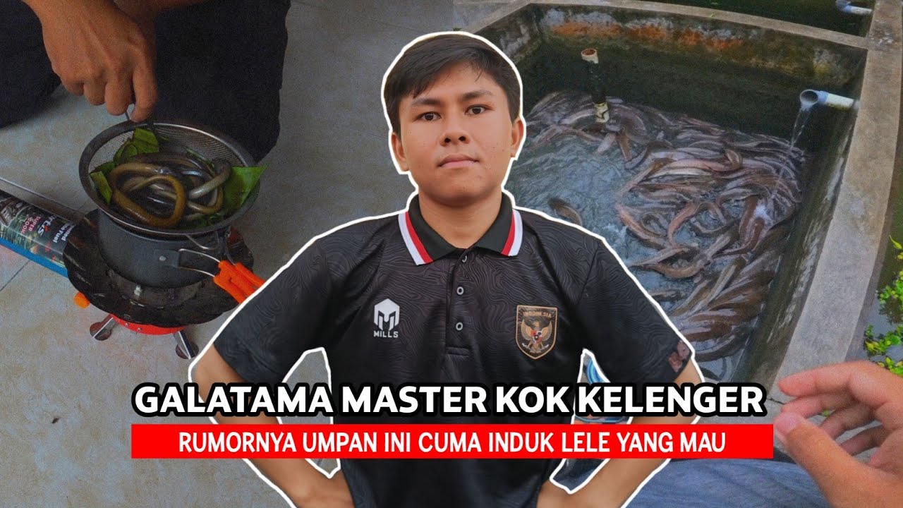 KELAS BERAT‼️Ikutan Lomba Mancing Galatama Lele Master Pakai Umpan Belut - KATANYA UMPAN TERAMIS