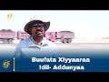 Ijaarsa Buufata Xiyyaaraa Idil- Addunyaa Bishooftuu