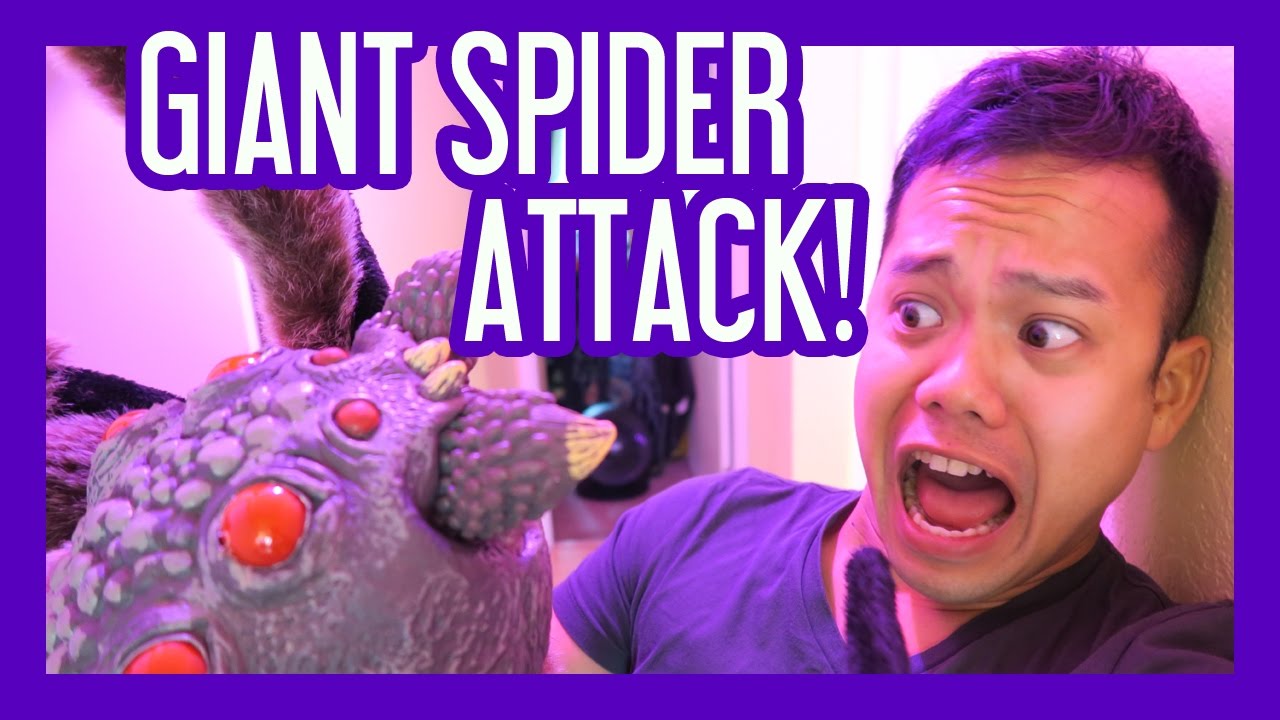 ATTACKED BY A GIANT SPIDER!!