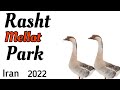 Rasht Gilan Iran Rasht Iran Rasht Gilan Mellat Park Rasht Gilan Iran Rasht Iran Rasht Gilan Mellat Park