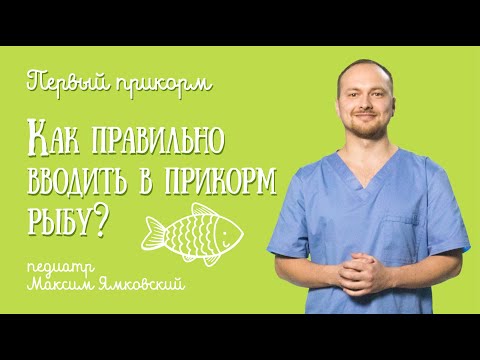 Как вводить рыбу в рацион детям во время Первого Прикорма? Питание для самых маленьких детей