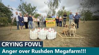 Outrage as Mega Chicken Farm planned for Rushden, bringing smell and pollution to the area.