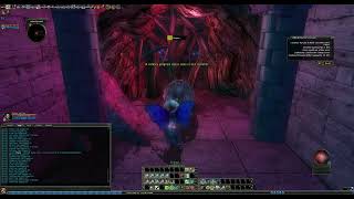 Immortality Lessons - Solo DDO Hardcore Season 7