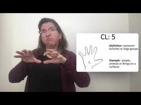 EDPY 474 04 05 Classifiers CL:A & CL:4