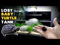 Aquascape Tutorial: Lost Baby Turtle gets New Aquarium (How To: Step By Step DIY Planted Tank Guide)
