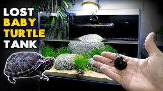 Aquascape Tutorial: Lost Baby Turtle gets New Aquarium (How To: Step By Step DIY Planted Tank Guide)