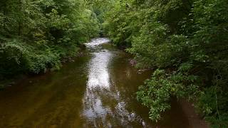 White Noise for Daily Meditation - Gentle Flowing Creek (10 minutes)