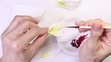 Sugar Flower ~ Lily Part 2