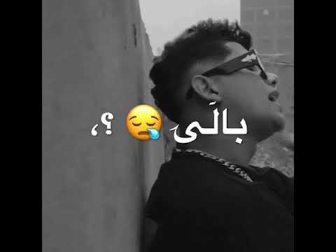 حالات واتس آمين خطاب قطر في مجالي مدي كلو عالي مهرجان لسه منزلش 2022