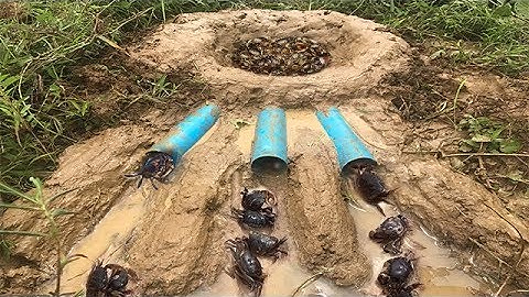 Smart Boy Make Easy Crab Trap Using Deep Hole With Water Pipe  To Catch A Lot Crab