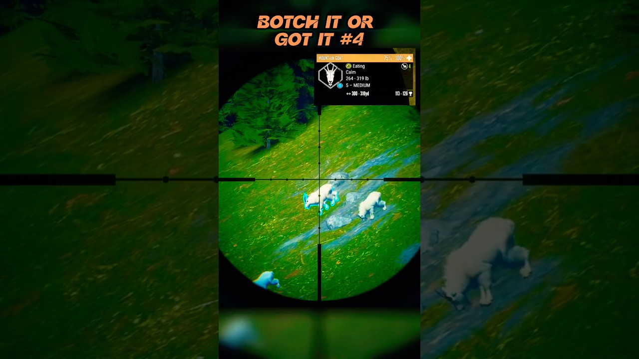 Выстрел из пневматической винтовки на 300 ярдов!