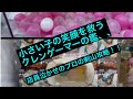 【クレーンゲーム】プロ直伝の剣山設定＆橋渡し＆ぬいぐるみ！小さい子の笑顔を救うクレンゲーマーの鑑！鬼滅の刃 煉獄杏寿郎フィーバー後も、優良店でした！ プレゼント企画開催中！Twitterへ！