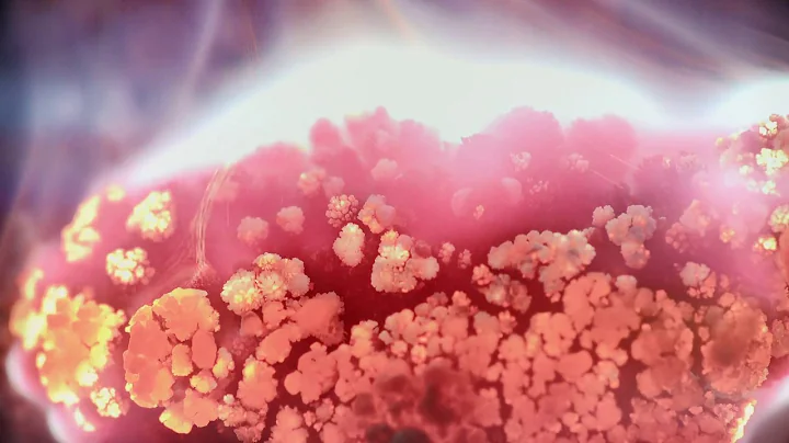 "Exo" - Bana Haffar (A Film by Sean Curtis Patrick)