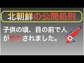 子供にまで見せる北朝鮮の銃殺(公開処刑)