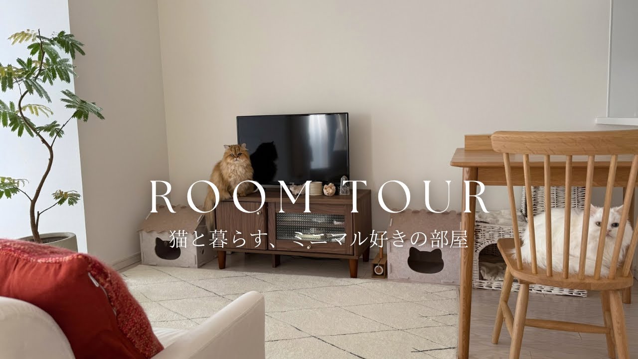 【ルームツアー】1LDK猫とミニマルな一人暮らし｜防災リュックの中身｜3COINS,ニトリ,デコホーム,KEYUKA｜japanese room tour