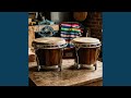 BONGOS RYTHIM