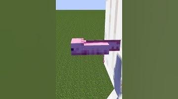 Axolotl VS Ghast 2 😂 {Minecraft Animation}