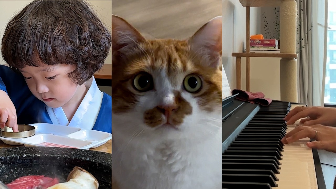 2월의 소중한 일상, 설날