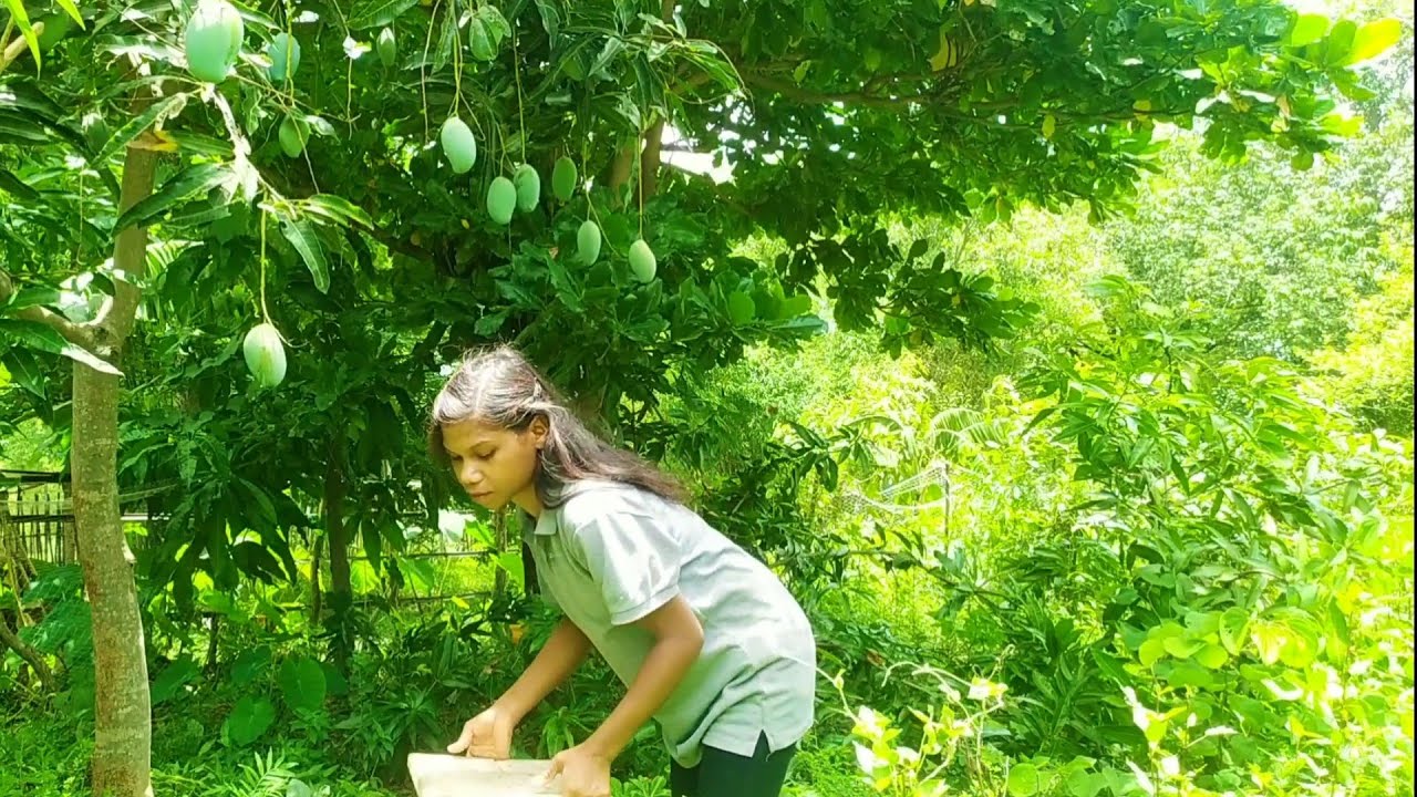 The flavour of mangoes & sweetness that you can never forget - YouTube