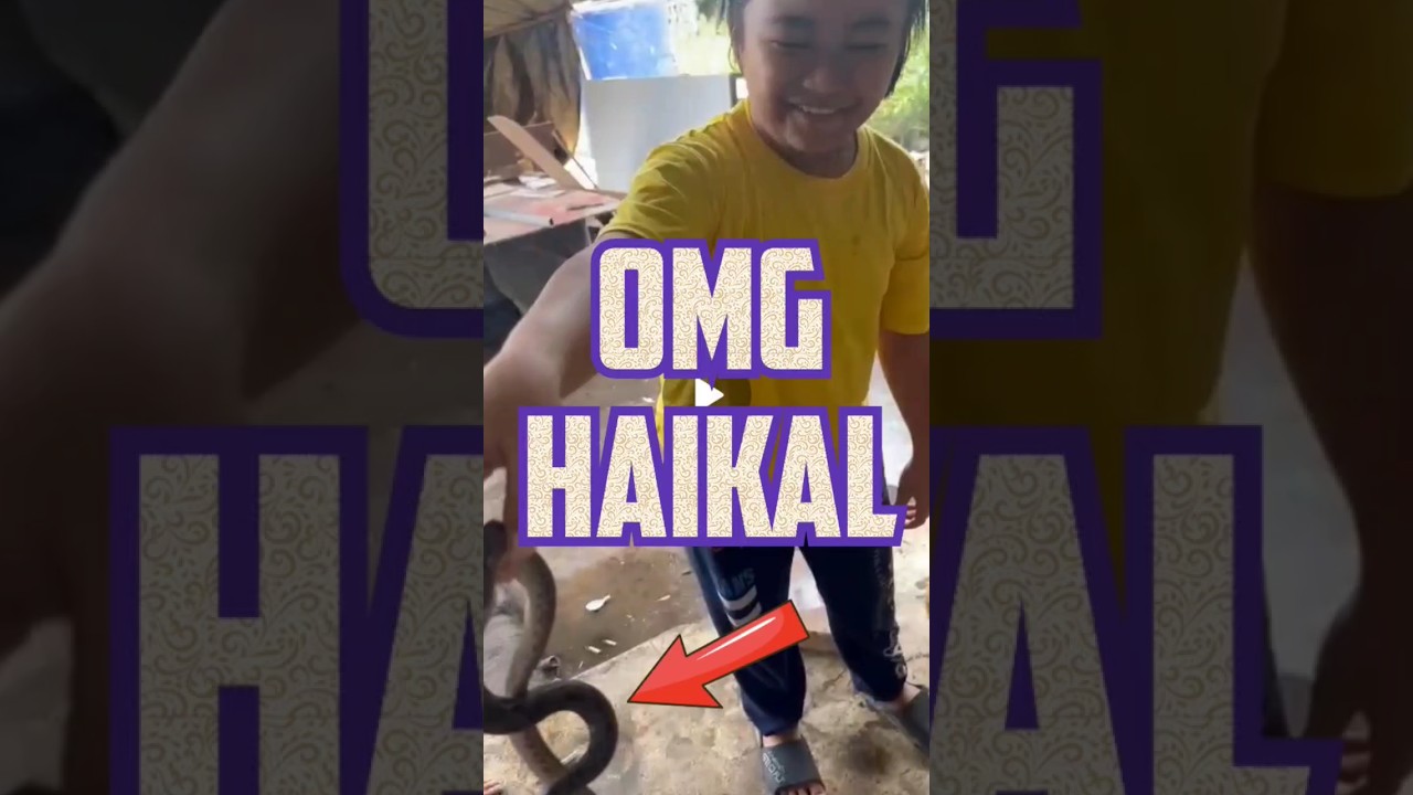 Haikal Punya Mainan Baru...