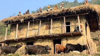 Most Beautiful &Peaceful Himalayan village Life || Daily activities of Nepalese rural lifestyle