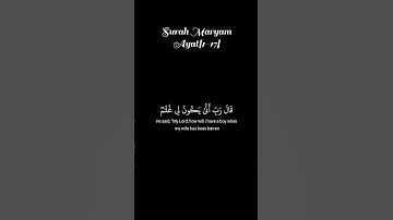سورة مريم للقارئ علاء عقل🥰 #اكسبلور #الله #دويتو #المصحف #duet #foryou#تيك_توك #funny  #لايك #قرآن