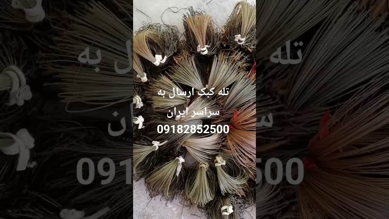 ۱۹ اوت ۲۰۲۵