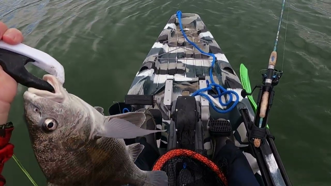 2 1 25 Kayak Fishing South Padre Island at the Shores