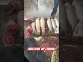 #bollywood #fish #dhadkan2 #fishing #indiansong #fishcutting #hindisong